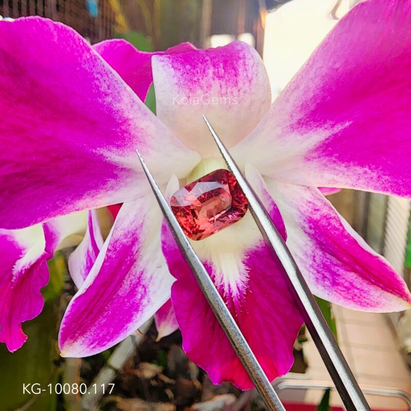 Sapphire Đỏ KG-10080.117- Tự Nhiên 